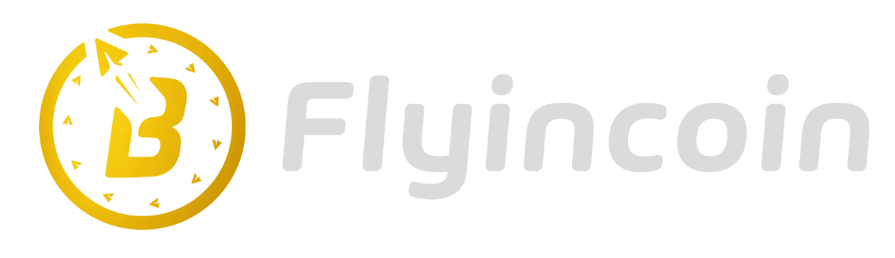 FlyinCoin-The Journey to the Future Begins